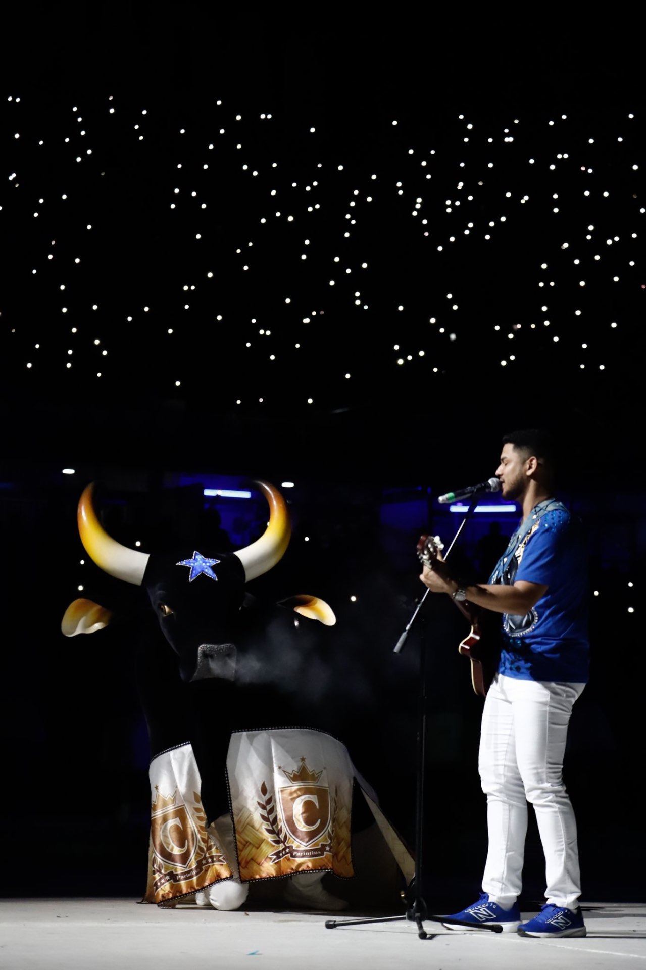 O boi com a estrela azul